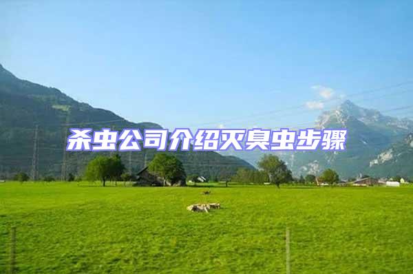 殺蟲公司介紹滅臭蟲步驟