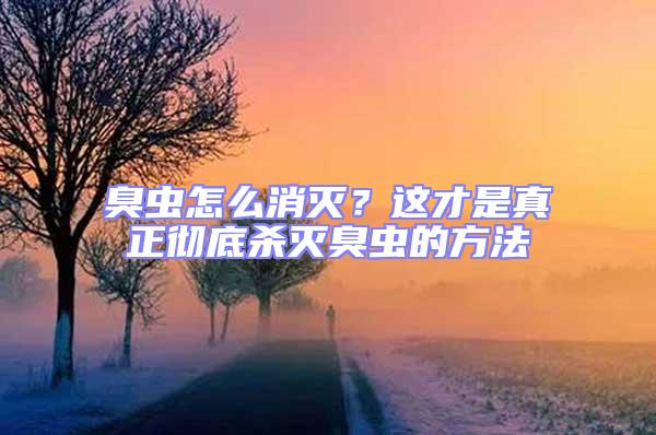臭蟲(chóng)怎么消滅?這才是真正徹底殺滅臭蟲(chóng)的方法