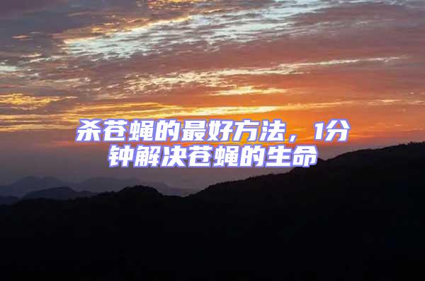 殺蒼蠅的最好方法,1分鐘解決蒼蠅的生命