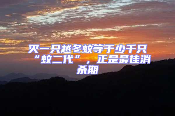 滅一只越冬蚊等于少千只“蚊二代”,正是最佳消殺期