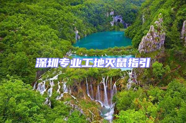 深圳專業工地滅鼠指引