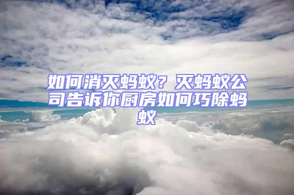 如何消滅螞蟻?滅螞蟻公司告訴你廚房如何巧除螞蟻