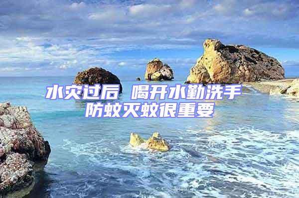 水災(zāi)過(guò)后 喝開(kāi)水勤洗手 防蚊滅蚊很重要