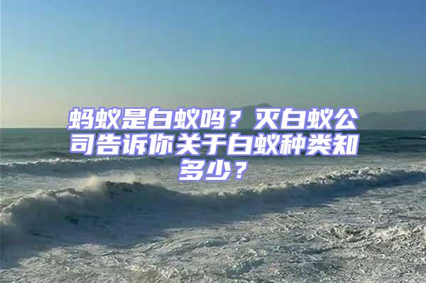 螞蟻是白蟻嗎?滅白蟻公司告訴你關于白蟻種類知多少?