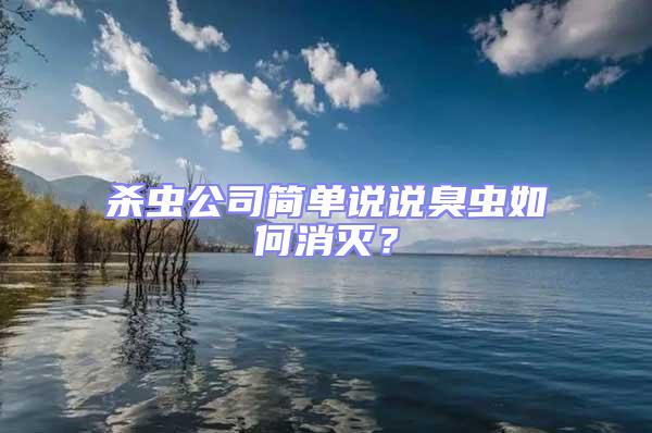 殺蟲公司簡單說說臭蟲如何消滅?