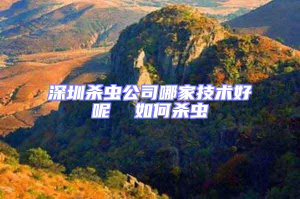 深圳殺蟲公司哪家技術(shù)好呢 如何殺蟲