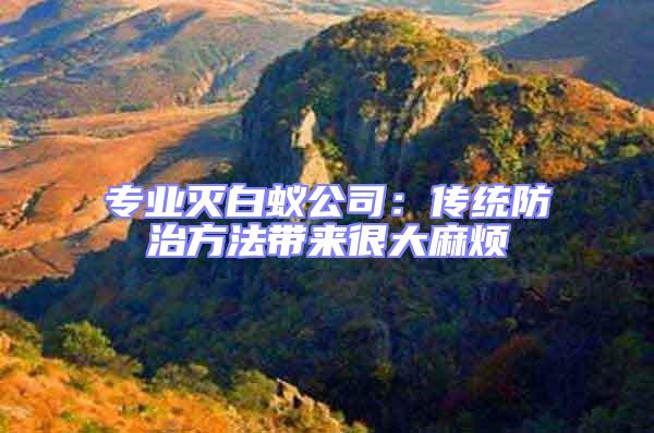 專業(yè)滅白蟻公司：傳統(tǒng)防治方法帶來很大麻煩