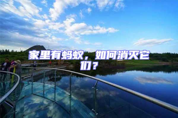 家里有螞蟻，如何消滅它們？
