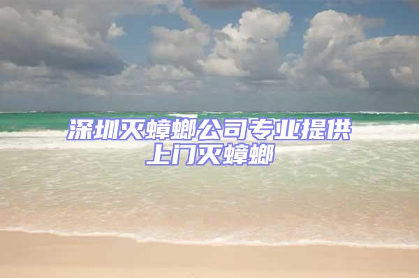 深圳滅蟑螂公司專業(yè)提供上門(mén)滅蟑螂