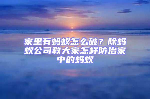 家里有螞蟻怎么破?除螞蟻公司教大家怎樣防治家中的螞蟻