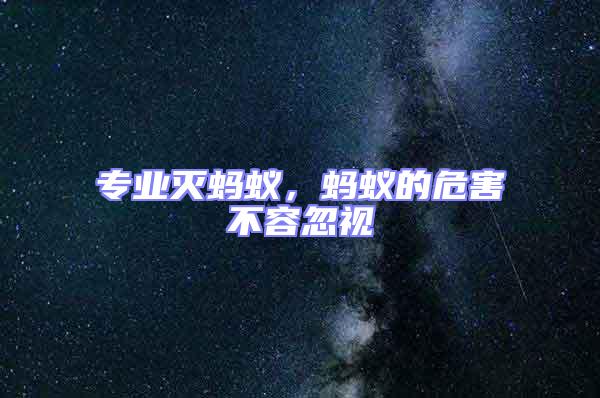 專業滅螞蟻，螞蟻的危害不容忽視