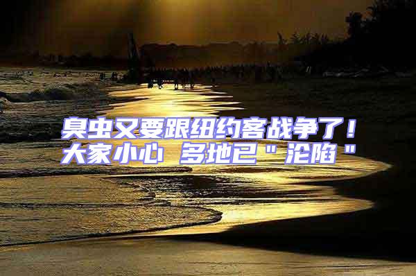 臭蟲又要跟紐約客戰爭了!大家小心 多地已"淪陷"