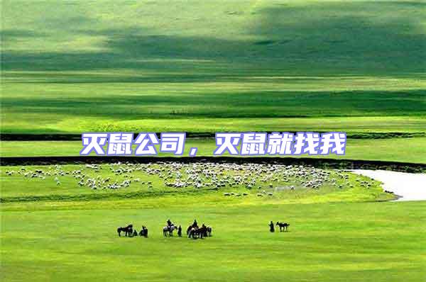 滅鼠公司,滅鼠就找我