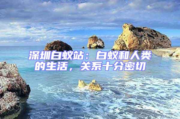 深圳白蟻站:白蟻和人類的生活,關系十分密切