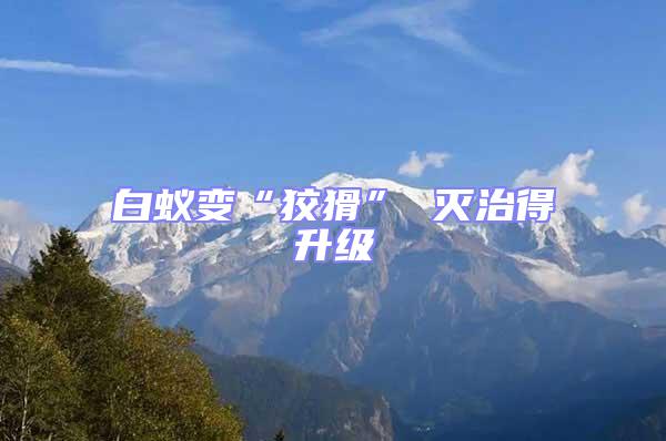 白蟻變“狡猾” 滅治得升級