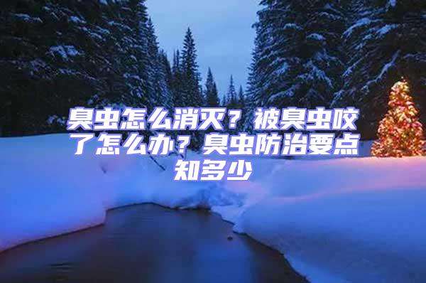 臭蟲怎么消滅？被臭蟲咬了怎么辦？臭蟲防治要點知多少