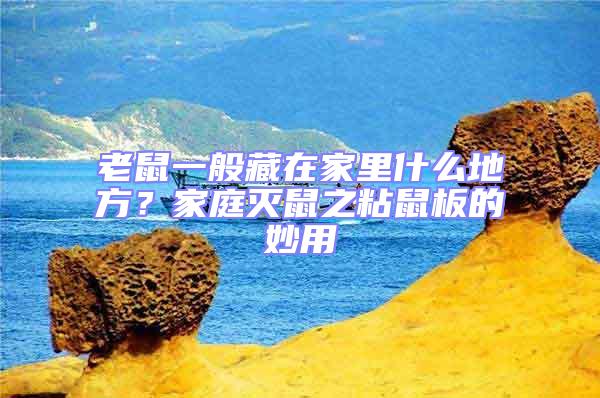 老鼠一般藏在家里什么地方?家庭滅鼠之粘鼠板的妙用