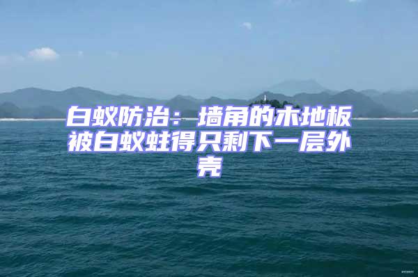 白蟻防治:墻角的木地板被白蟻蛀得只剩下一層外殼