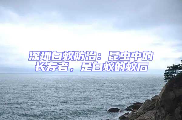 深圳白蟻防治:昆蟲中的長壽者,是白蟻的蟻后