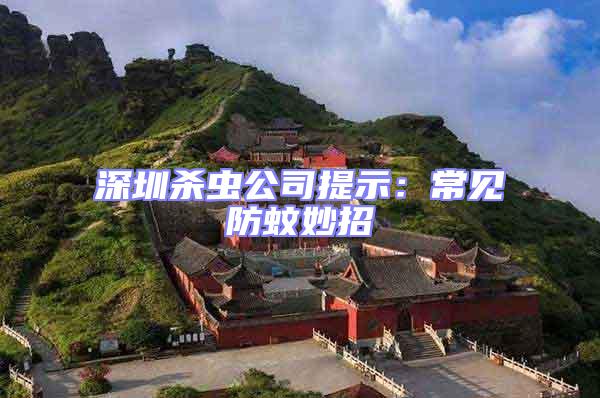 深圳殺蟲公司提示:常見防蚊妙招