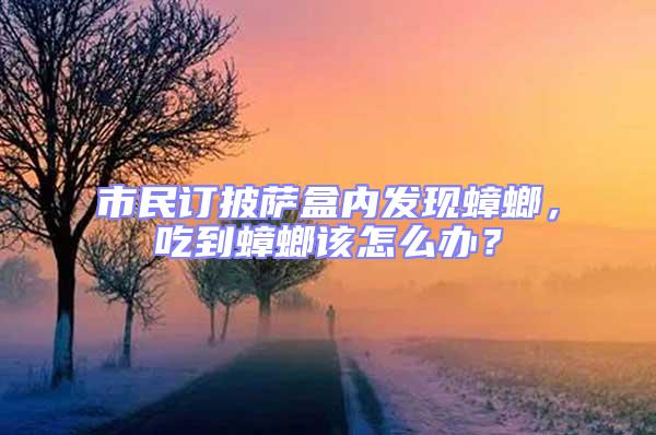 市民訂披薩盒內發現蟑螂，吃到蟑螂該怎么辦？