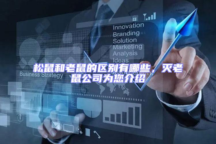 松鼠和老鼠的區(qū)別有哪些，滅老鼠公司為您介紹