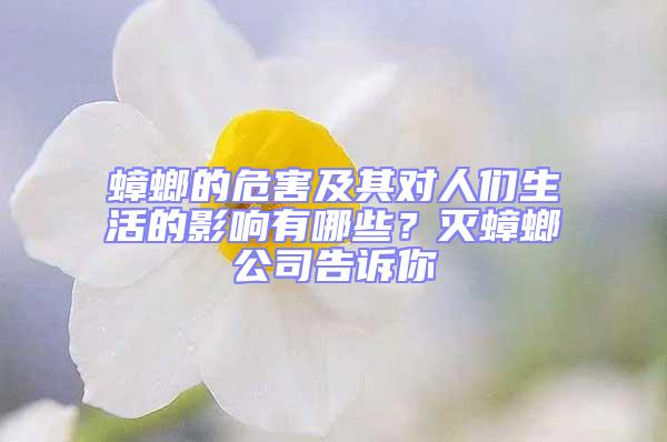 蟑螂的危害及其對人們生活的影響有哪些？滅蟑螂公司告訴你
