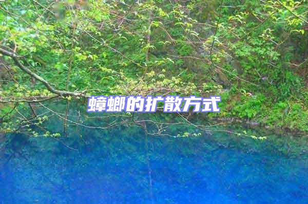 蟑螂的擴(kuò)散方式