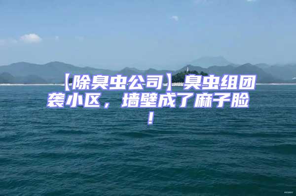 【除臭蟲公司】臭蟲組團襲小區(qū),墻壁成了麻子臉!