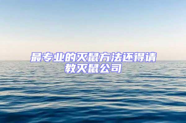 最專業的滅鼠方法還得請教滅鼠公司