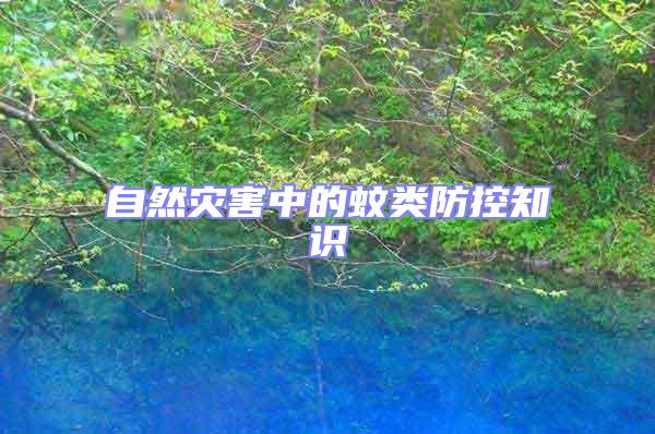 自然災(zāi)害中的蚊類防控知識