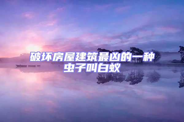 破壞房屋建筑最兇的一種蟲子叫白蟻