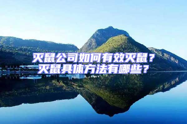 滅鼠公司如何有效滅鼠?滅鼠具體方法有哪些?