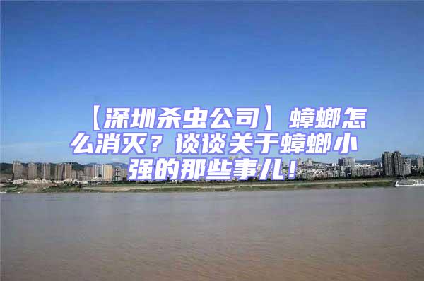 【深圳殺蟲公司】蟑螂怎么消滅？談談關于蟑螂小強的那些事兒！