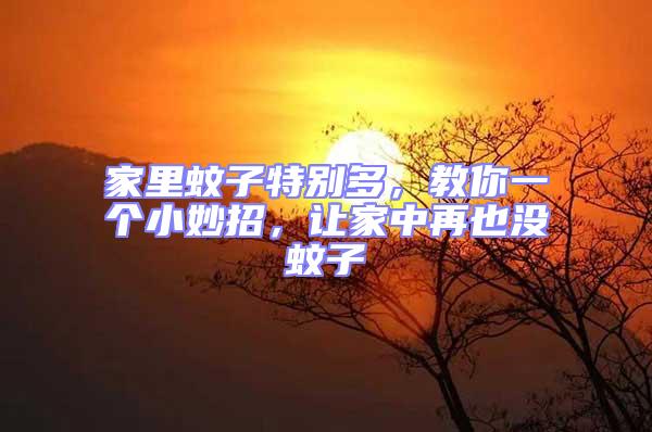 家里蚊子特別多，教你一個小妙招，讓家中再也沒蚊子