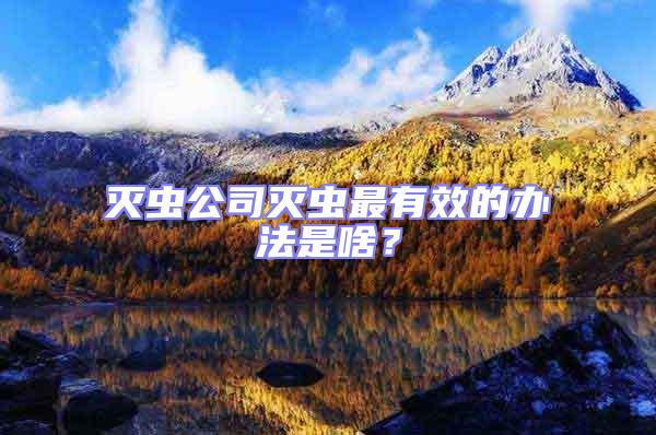 滅蟲公司滅蟲最有效的辦法是啥?