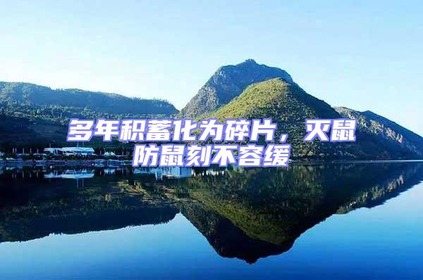 多年積蓄化為碎片,滅鼠防鼠刻不容緩