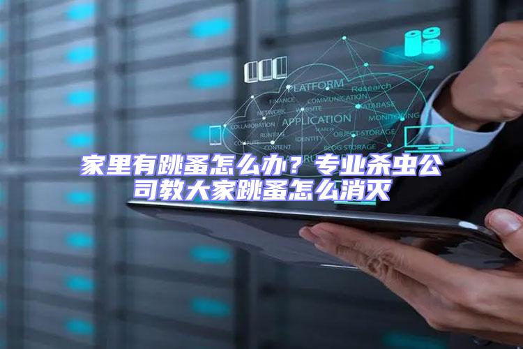 家里有跳蚤怎么辦?專業(yè)殺蟲(chóng)公司教大家跳蚤怎么消滅