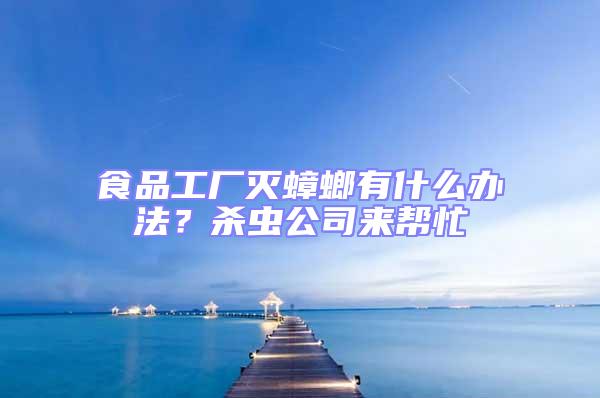 食品工廠滅蟑螂有什么辦法?殺蟲公司來幫忙