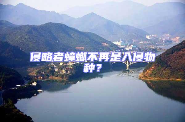 侵略者蟑螂不再是入侵物種?