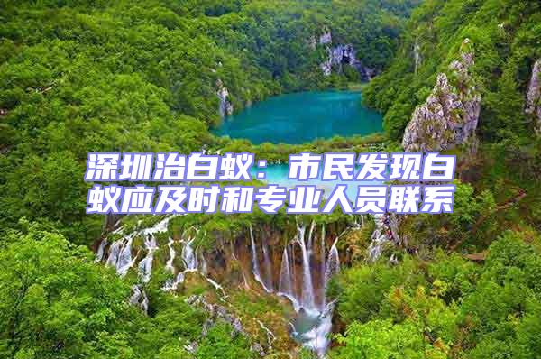 深圳治白蟻:市民發(fā)現(xiàn)白蟻應(yīng)及時和專業(yè)人員聯(lián)系