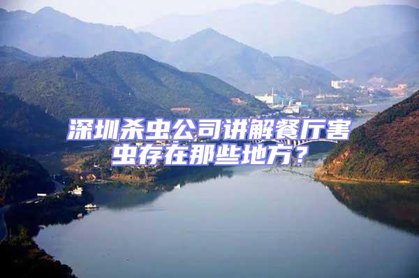 深圳殺蟲公司講解餐廳害蟲存在那些地方?