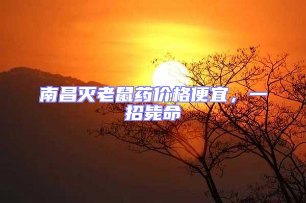 南昌滅老鼠藥價(jià)格便宜，一招斃命