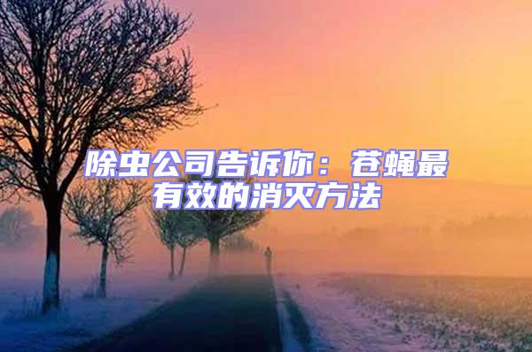 除蟲公司告訴你:蒼蠅最有效的消滅方法