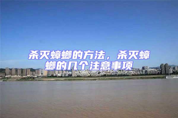 殺滅蟑螂的方法,殺滅蟑螂的幾個注意事項