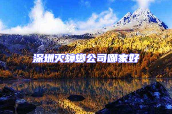 深圳滅蟑螂公司哪家好