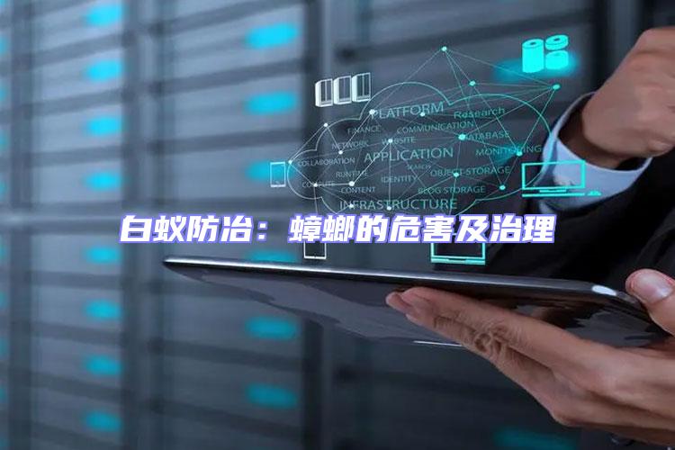 白蟻防冶:蟑螂的危害及治理