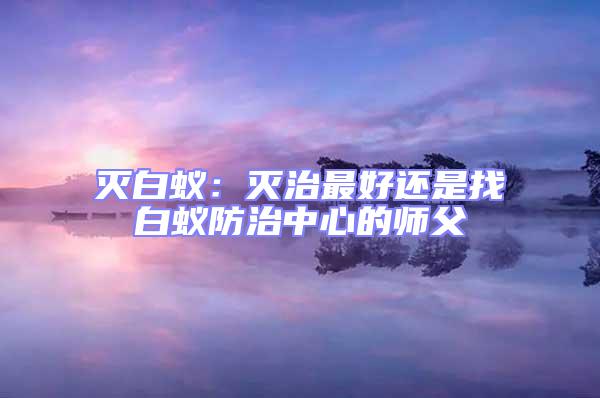 滅白蟻:滅治最好還是找白蟻防治中心的師父