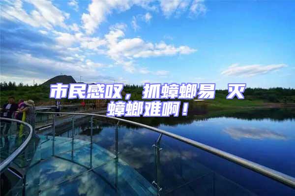 市民感嘆,抓蟑螂易 滅蟑螂難啊!