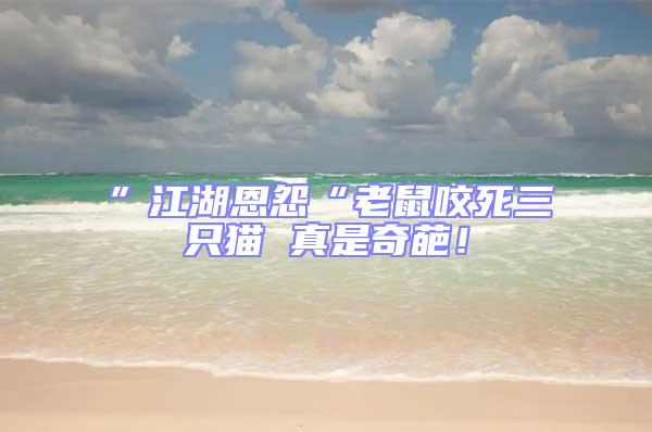 ”江湖恩怨“老鼠咬死三只貓 真是奇葩!